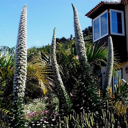 Apartamento Mar Y Teide Саусаль Номер фото